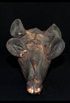 Découvrez notre sélection de fétiches et objets rituels africains, dont ce fétiche totémique tête de cheval Igbo du Nigeria. Des pièces singulières destinées aux collectionneurs et amateurs d’art africain.